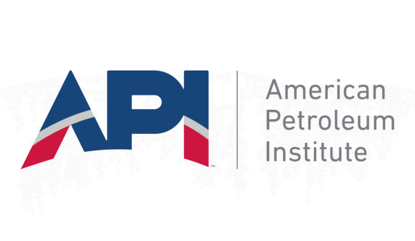 API Logo